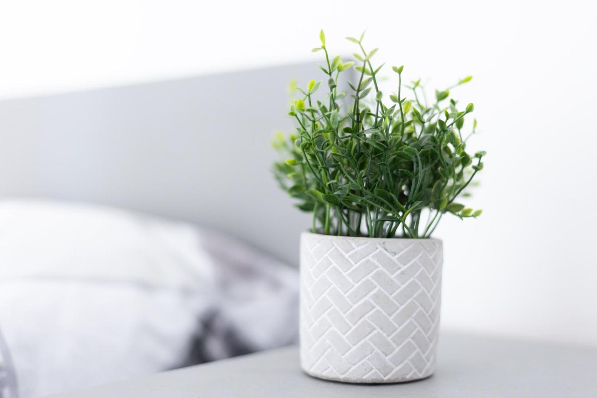 Cheerful 3-bedroom With Free Street Parking Апартаменты *